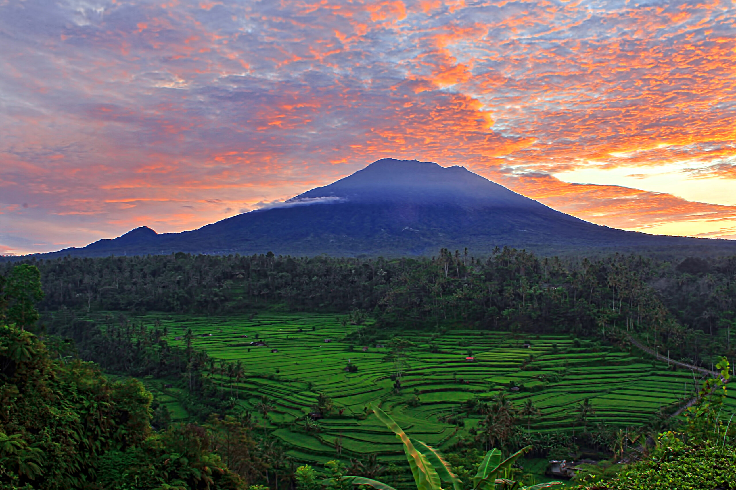 bali hospitality regenerative practices, Island of Intent: Bali Businesses Shaping a New Era of Sustainable Hospitality