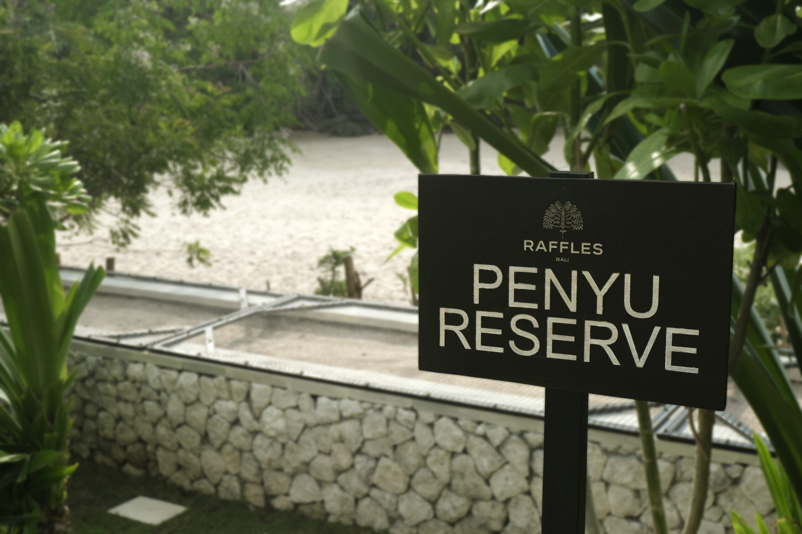 Penyu Reserve at Raffles Bali