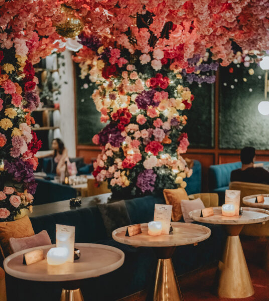 Miss Fish Spring SEASONS