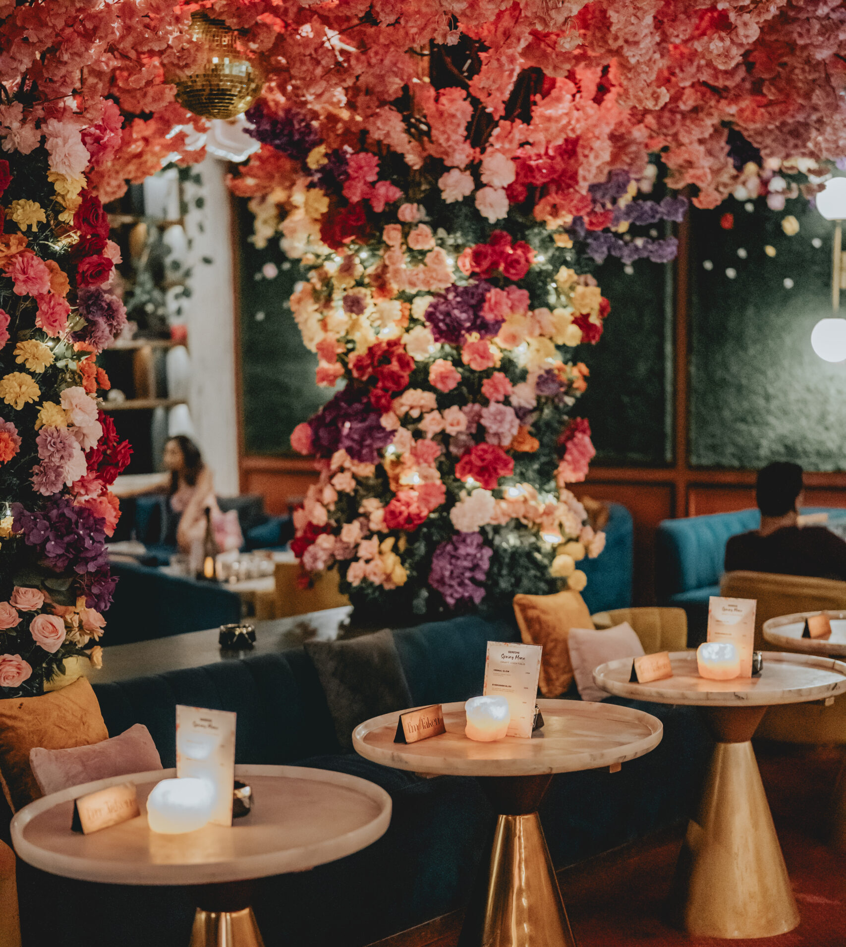 Miss Fish Spring SEASONS