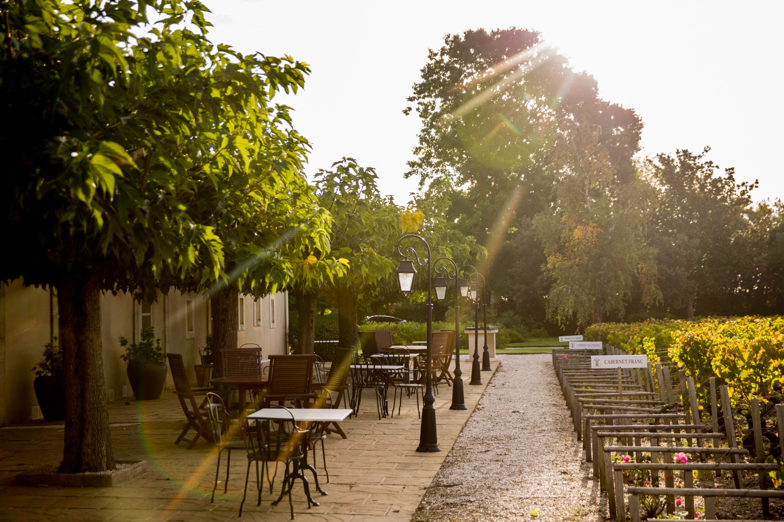 COMO new hotel, COMO Hotels and Resorts Opens New Hotel in Bordeaux