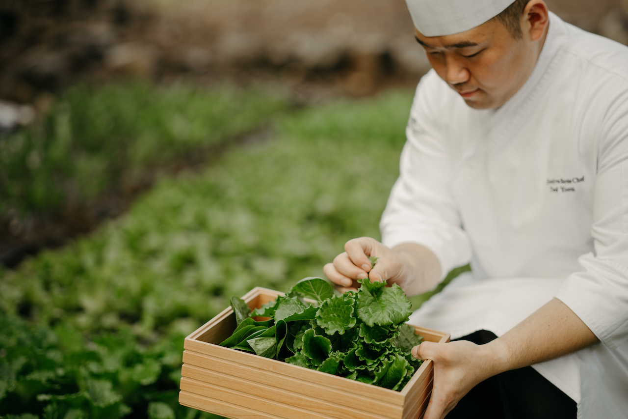 Jeju, Discovering Jeju’s Food Culture and Haenyeo Legacy at JW Marriott Jeju