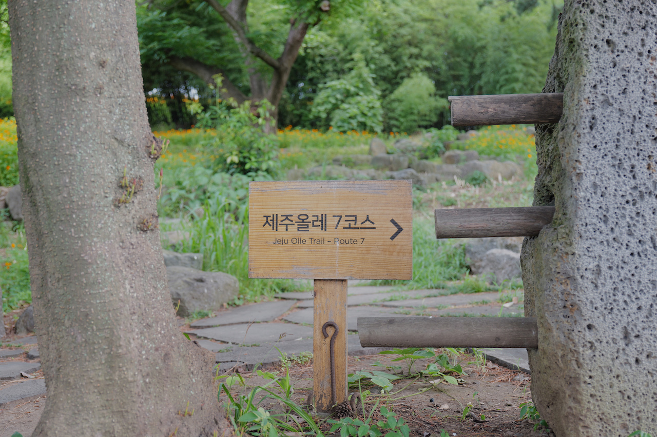 Jeju, Discovering Jeju’s Food Culture and Haenyeo Legacy at JW Marriott Jeju