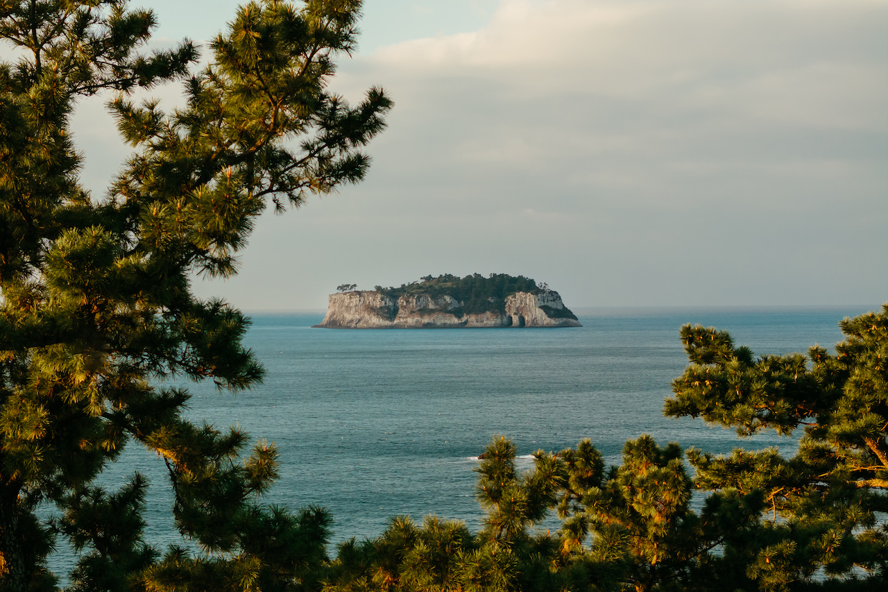 Jeju, Discovering Jeju’s Food Culture and Haenyeo Legacy at JW Marriott Jeju