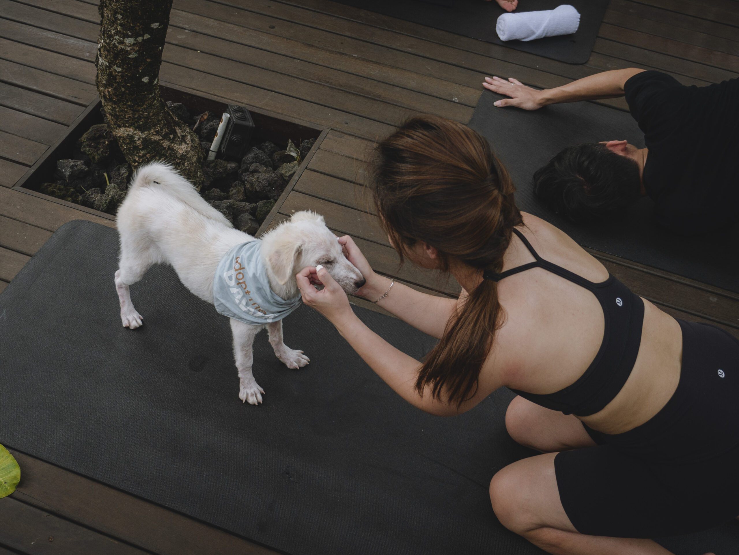 Puppy Yoga at Hotel Indigo Bali Seminyak Beach