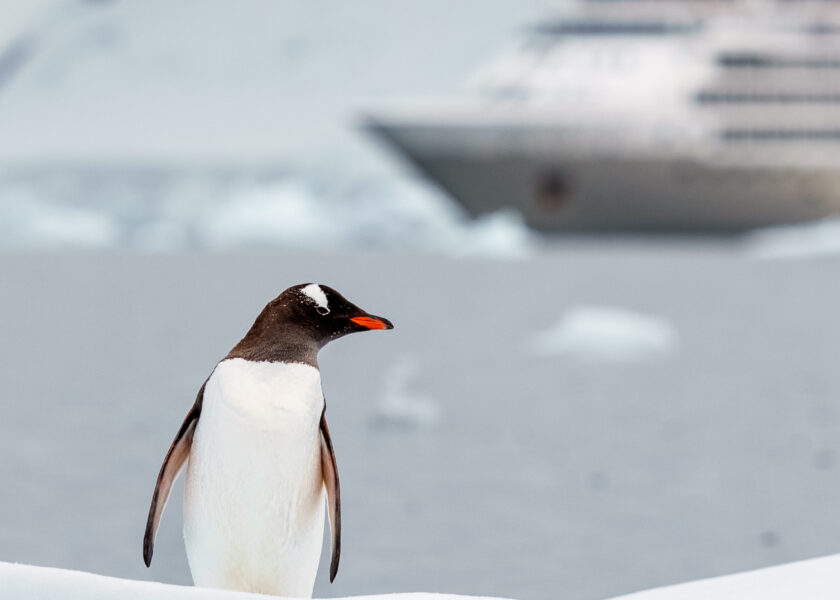 luxury gourmet lifestyle food magazine singapore indonesia, Home