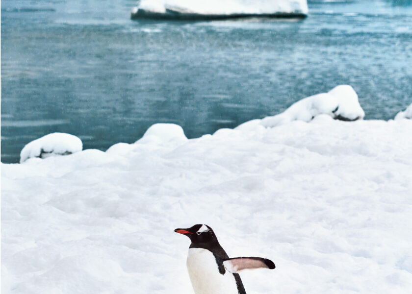 luxury gourmet lifestyle food magazine singapore indonesia, Home