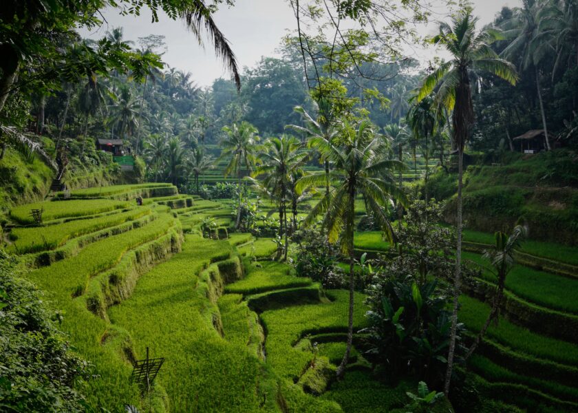 Bali Sustainability Green Waste