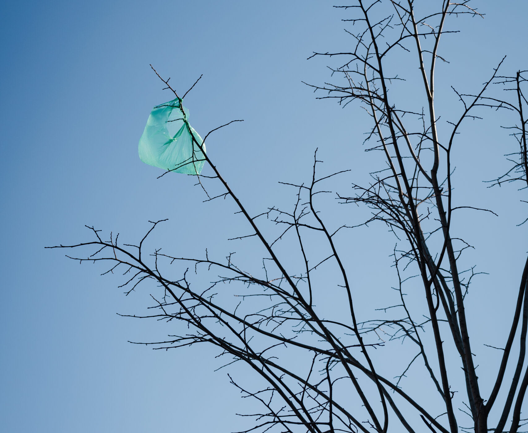 Bali Green Sustainability Waste, Paradoxical Paradise: Beyond Green Promises and the Reality of Waste in Bali