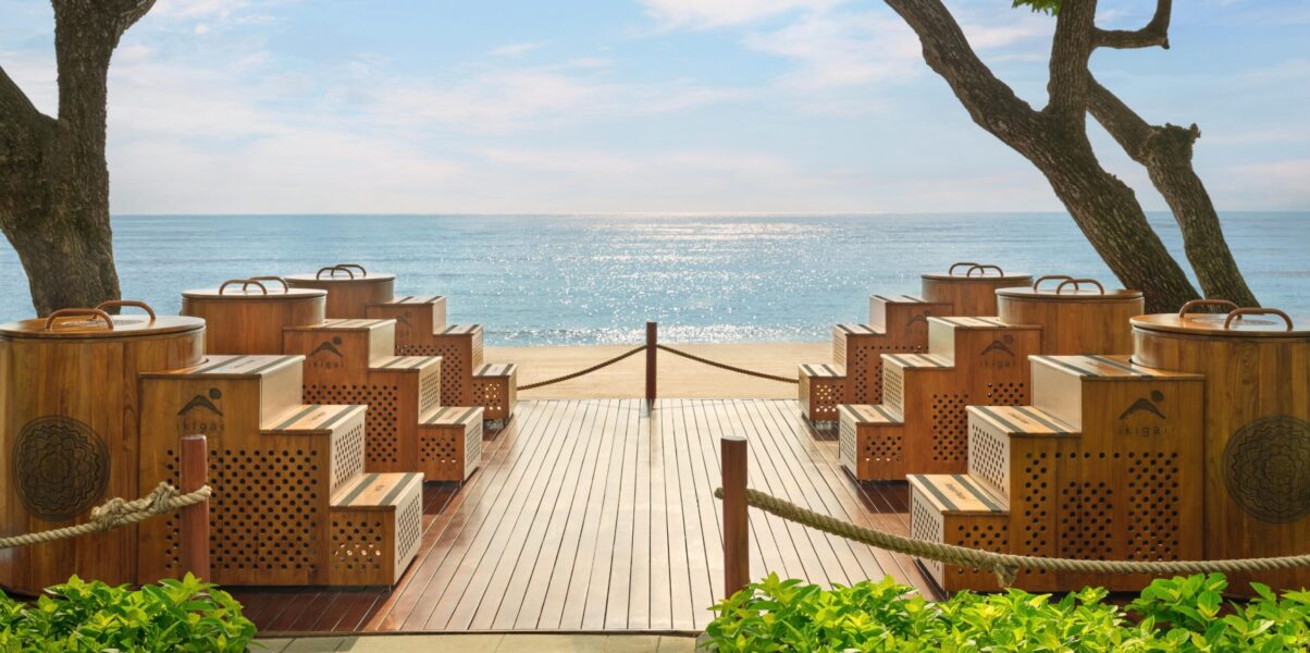 new wellness bali