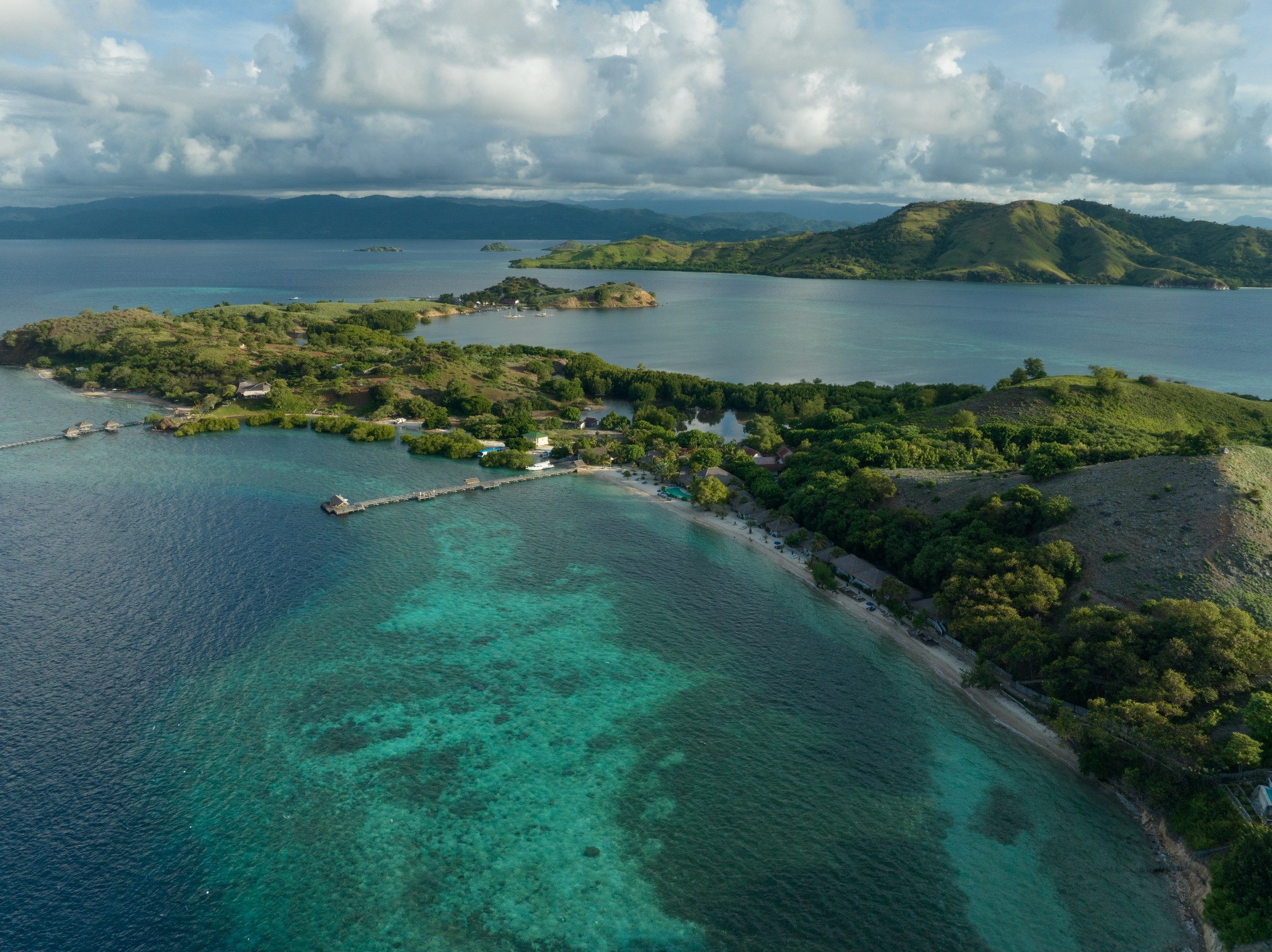 sudamala coral reef, Save The Coral Reef with Sudamala Reef Revival Initiative