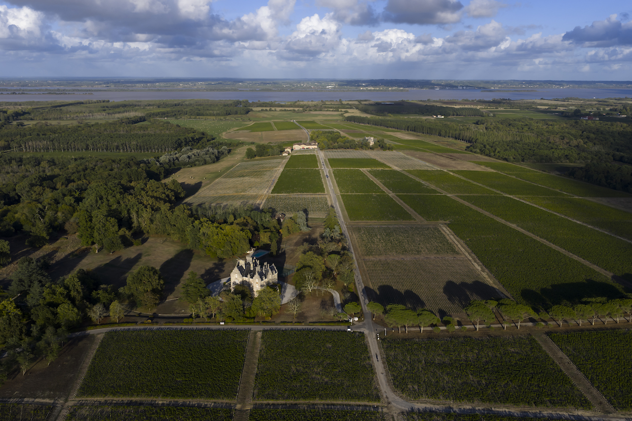 Penfolds, Penfolds&rsquo; Global Expansion: From Australian Icon to French Winemaking Endeavours