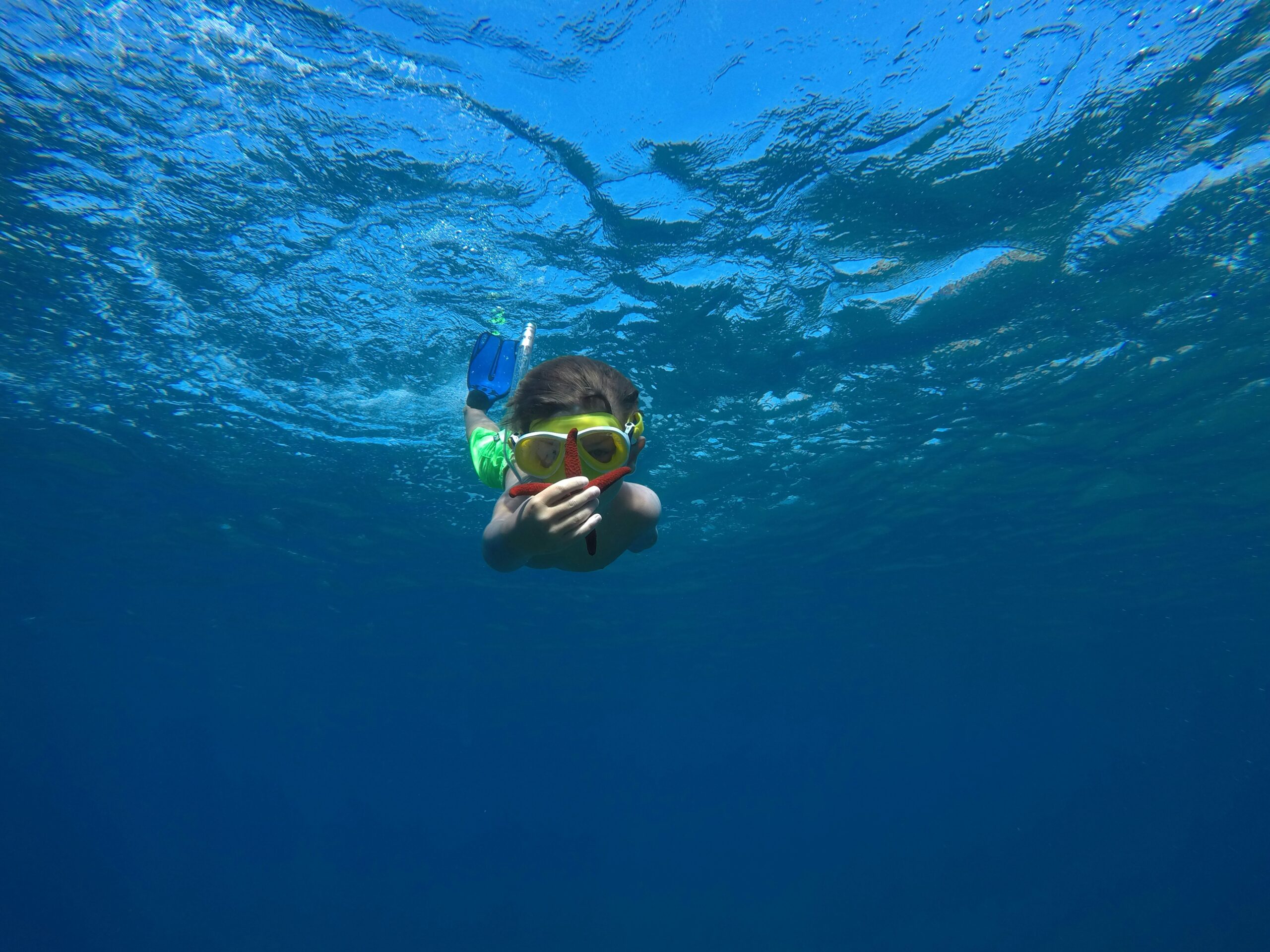 Child snorkelling in clear turquoise water holding a starfish at Koh Tao Thailand