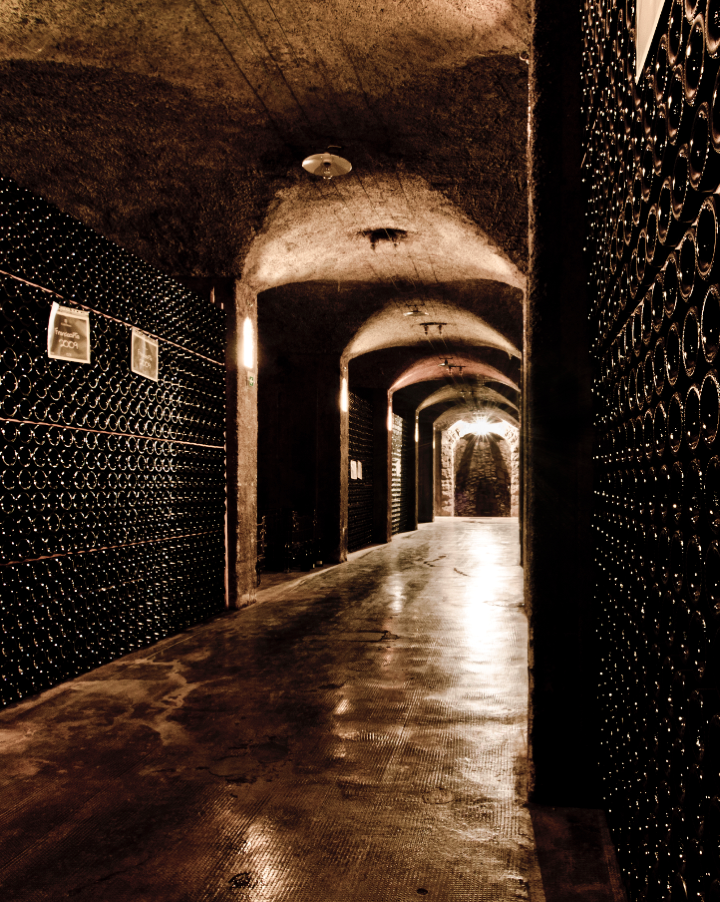 oysters, Where the Sea Meets the Vine: Marennes Ol&eacute;ron PGI oysters and Franciacorta PDO wines