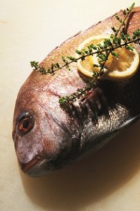 , A fish called tai