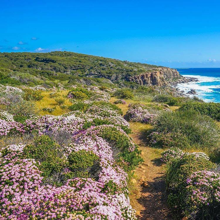 , 4 Things to do in the Margaret River region