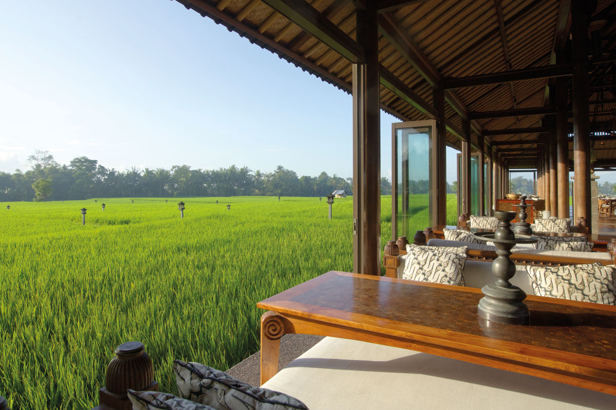 , 5 dining spots to check out at Ubud