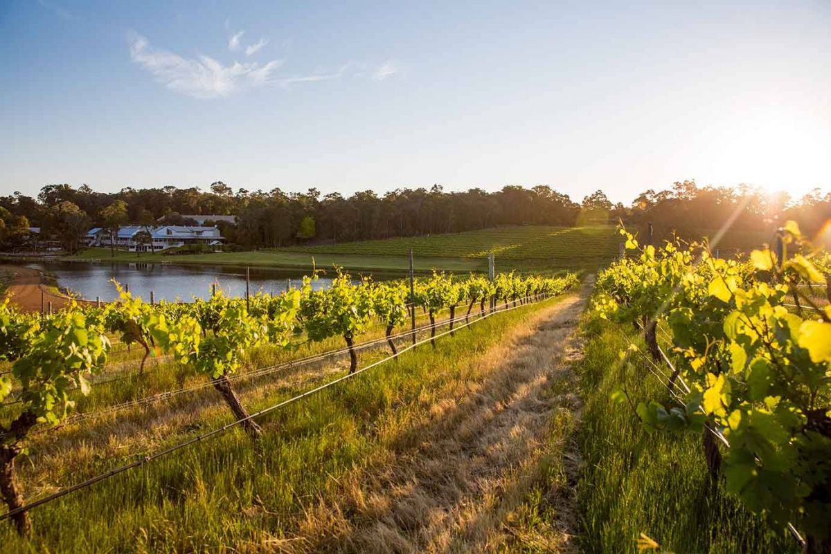 , 5 powerful Margaret River wineries to know