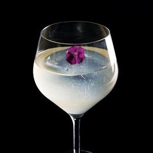 , Best gin fizzes in Singapore