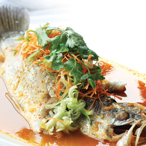 , Best Thai steamed fishes in Singapore