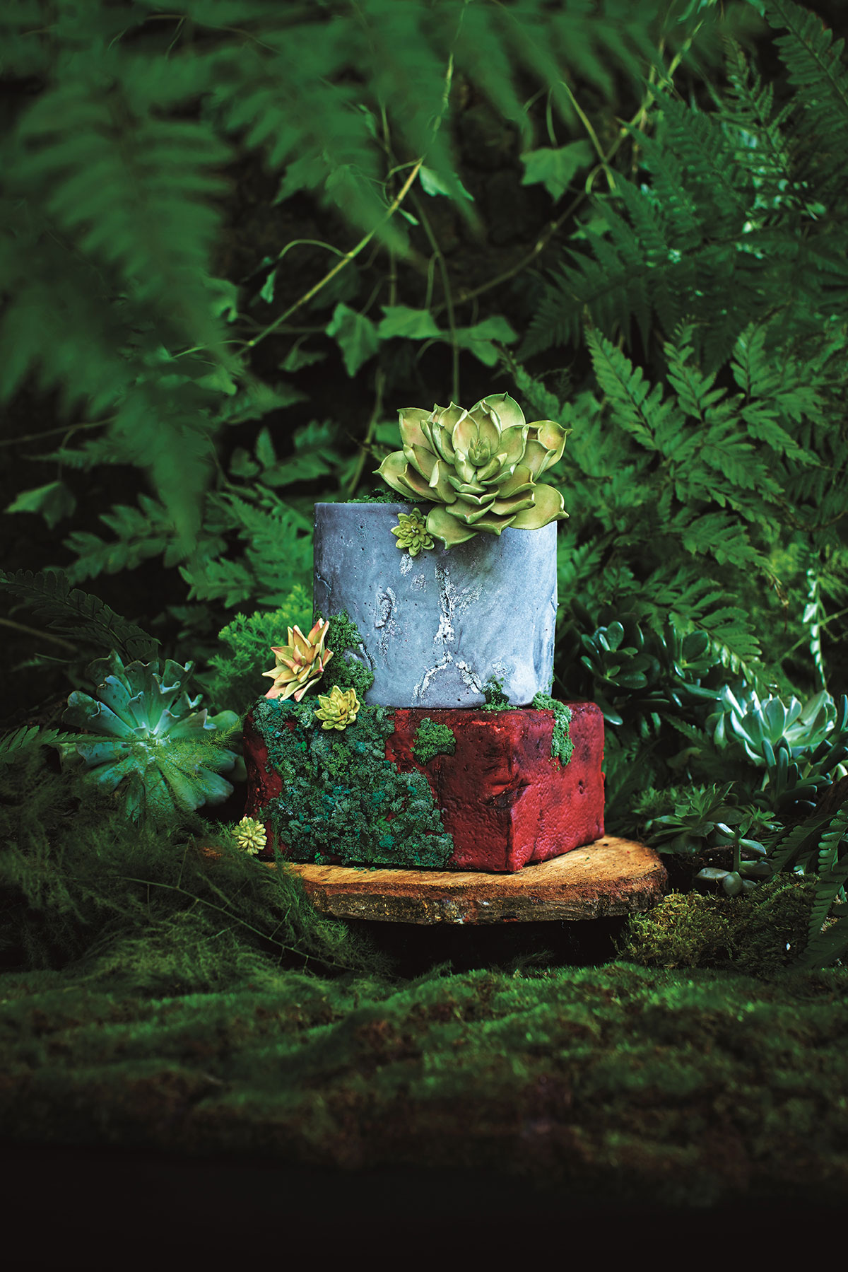 Succulents and cement cake recipe | epicure Magazine